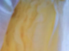 -丽莎蓓甜CAKE生日蛋糕·动物奶油(石家庄店)