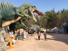 -芜湖黄河国际旅行社