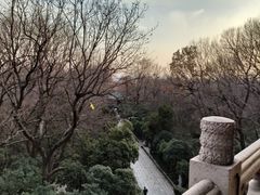 -灵谷景区