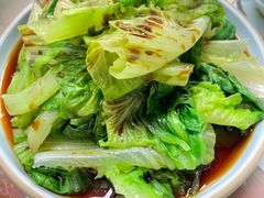 白灼罗马生菜-鹊华居·地道鲁菜·海鲜·融合味(大明湖店)