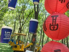 -草根堂农场