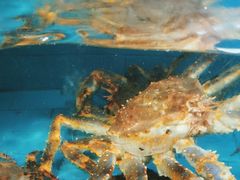 -老街渔味馆(芳华店)