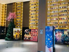 -深影国际影城(学院南路店CGS中国巨幕店)