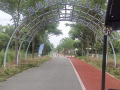 -上海长兴岛郊野公园