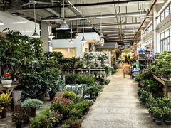 -双季花艺园艺市场(浦东店)