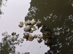 -南岳大庙