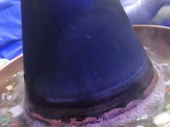 -月圆火锅(宁海东路二店)