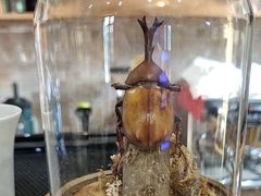 -Rabbit Cafe私房西餐甜点咖啡(栖霞路店)