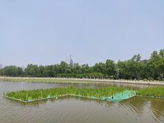 -莲花池公园