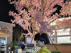-首开·龙湖成都西宸天街