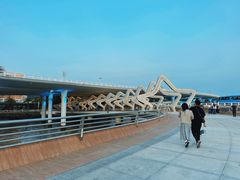 -演武大桥观景平台