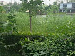 -成飞公园