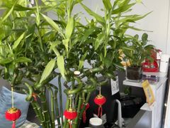 -田凤波推拿.按摩养生(幸福店)