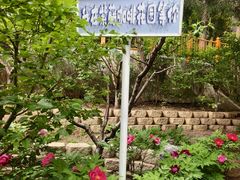 -太阳宫公园