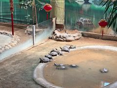 -西霞口神雕山野生动物世界