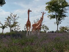 -季高兔窝窝亲子园(上海薰衣草公园店)