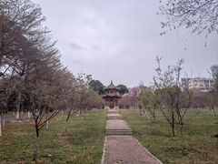 -华农酸奶文化馆
