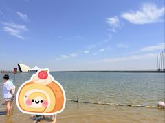 -碧海金沙