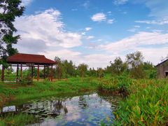 -御霞苑泥烩鸡休闲农庄