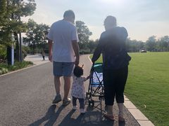 -昆山城市生态森林公园