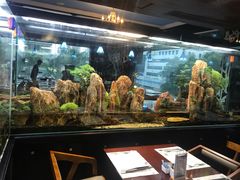 -泰谷酒店·太古码头闽菜自助餐厅