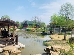 -曹州牡丹园