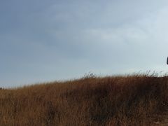 -恋山坝上草原