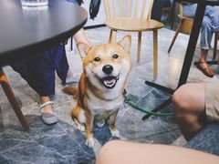 -古耳咖啡(北锣店)