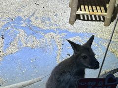 -常州海昌海洋探索馆