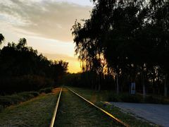 -永定河休闲森林公园