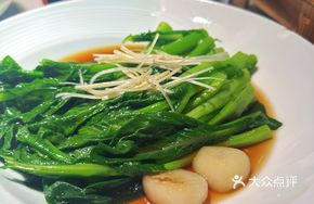 Vegetable Bok Choy