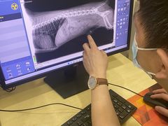 -艾贝尔宠物诊疗