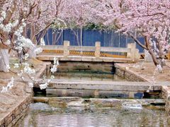 -三里河公园