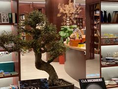 -二酉书店TOYOU BOOKS
