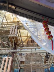 -PIPIKINGDOM皮皮王国欢乐号(欢乐海岸购物中心店)