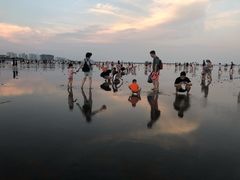 -碧海金沙
