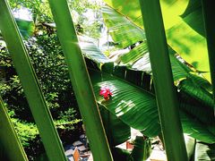 珠江南田温泉-三亚珠江南田温泉度假区