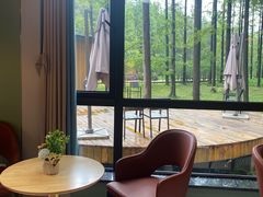 -黄海国家森林公园