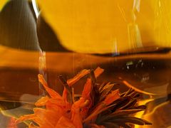 -芸山季·云南野生菌火锅(人民广场来福士店)