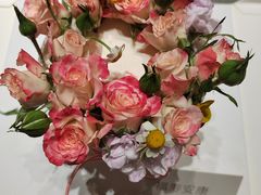 -5Cake五度无蔗糖低脂蛋糕(陶然亭店)