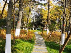 -莲湖公园