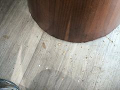 -漳州佰翔圆山酒店·圆山畔西餐厅