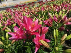 -长春公园(普阳街道)