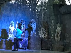 -清迈夜间动物园