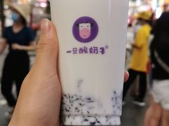 -一只酸奶牛(八一路店)