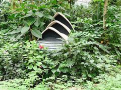 -南宫五洲植物乐园