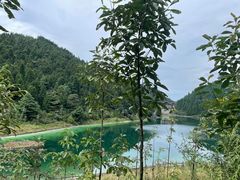 -武陵山森林公园