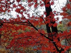 -大连天门山国家森林公园