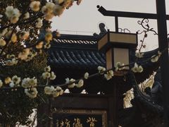 -广富林郊野公园