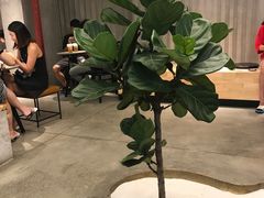 景观位-喜茶(东莞汇一城店)
